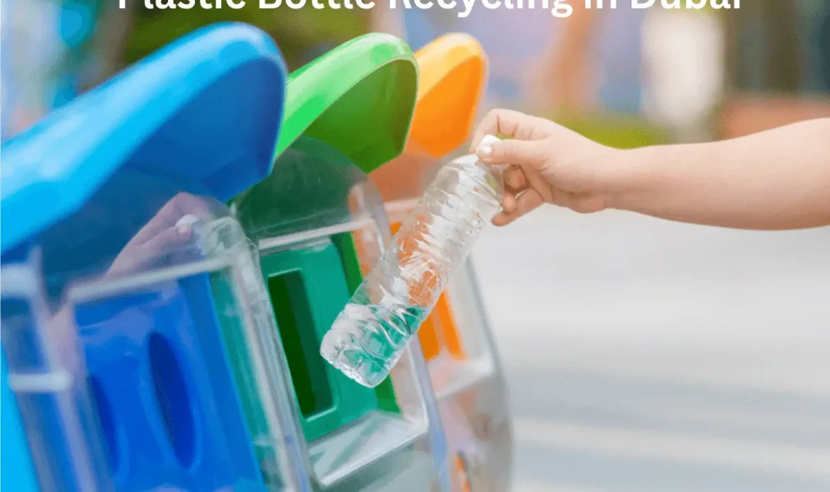 Plastic Bottle Recycling