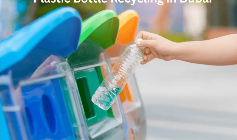 Plastic Bottle Recycling